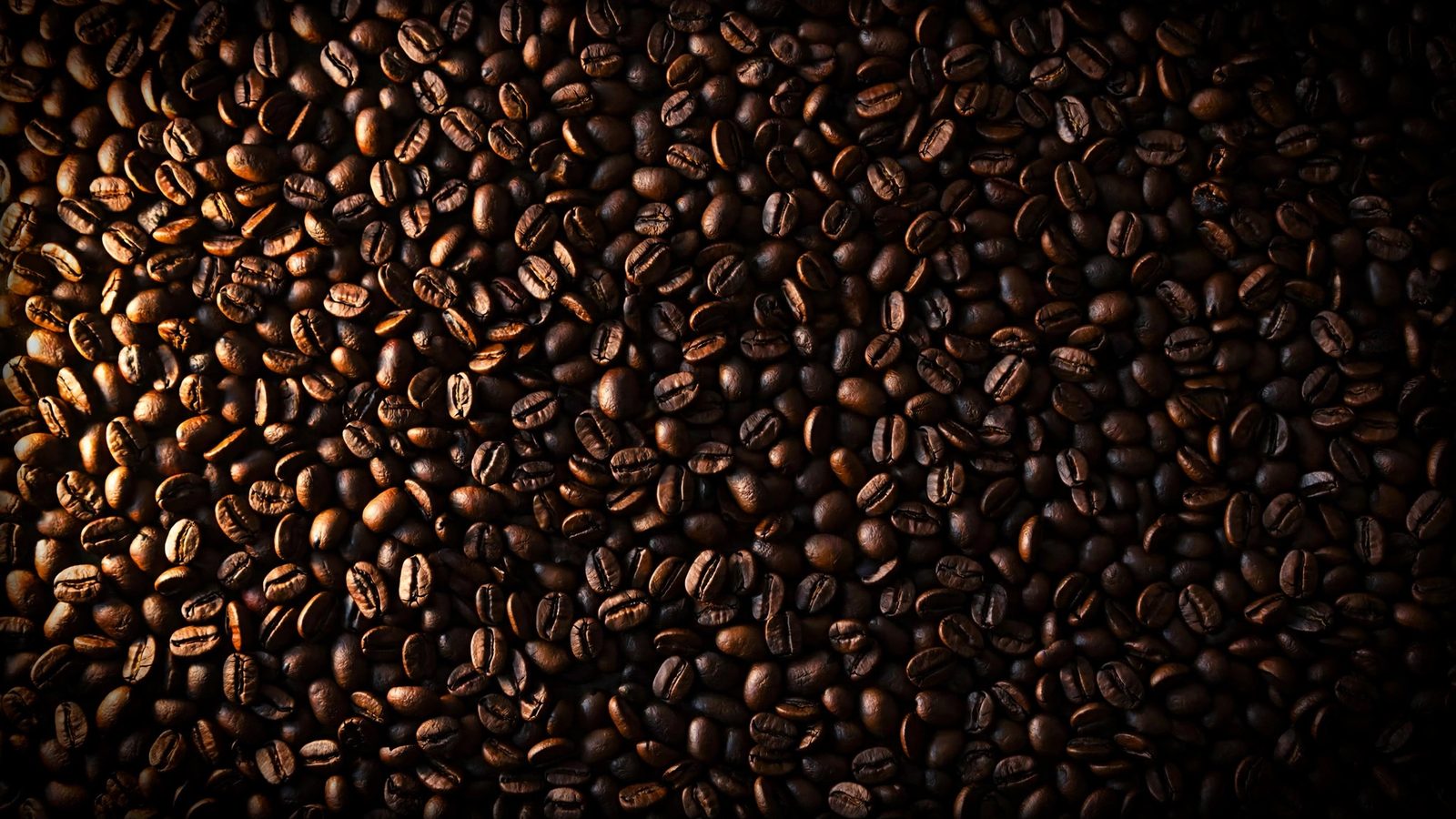 Biji kopi pilihan Kahve Roastery
